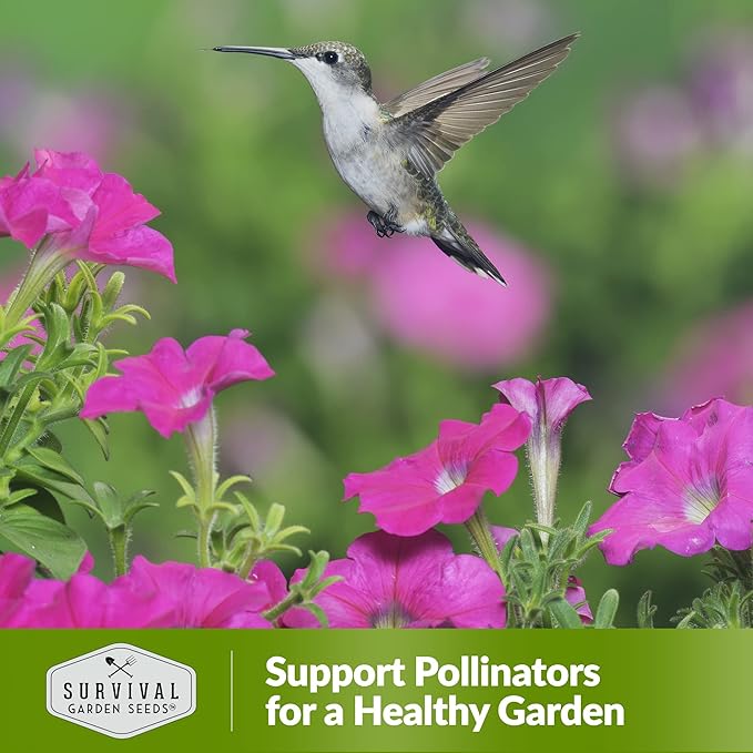 Survival Garden Seeds - Hummingbird Pollinator Mix Wildflower Seed for Planting - 5 Packs with Instructions to Plant & Grow Nectar Flowers in Your Home Vegetable Garden - Non-GMO Heirloom Varieties