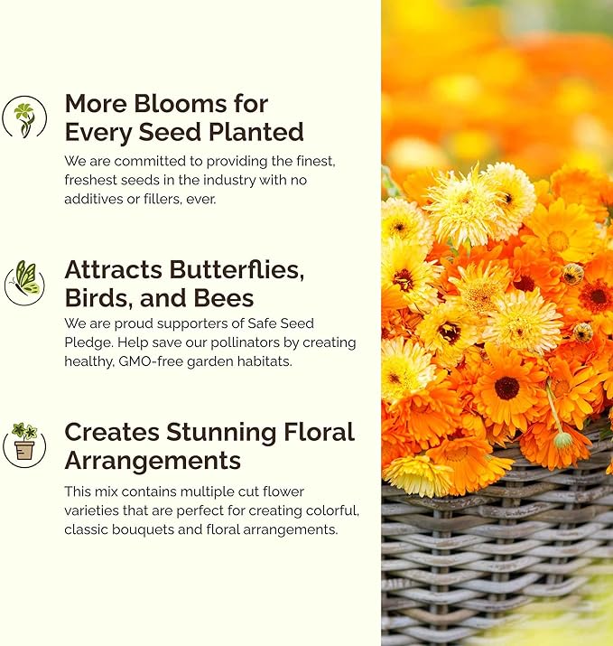 Eden Brothers Shorty Low Grow Wildflower Mixed Seeds for Planting, 25 lb, 12,000,000+ Seeds with Calendula, Cornflower | Attracts Pollinators, Plant in Spring or Fall, Zones 3, 4, 5, 6, 7, 8, 9, 10