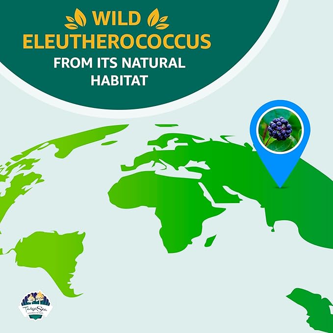 Wild Eleuthero Root Extract, Herbal Extract 100 Vegeterian