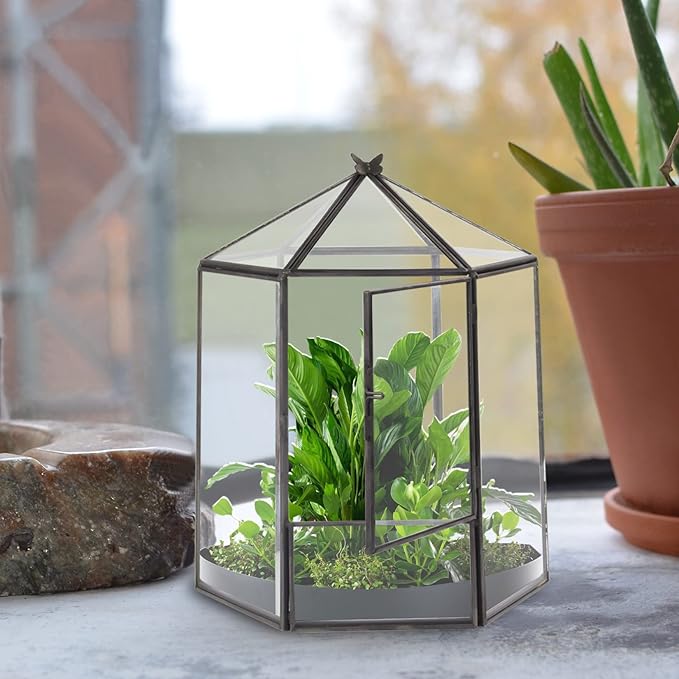 Glass Geometric Plant Terrarium,Succulent & Air Planter for Home Garden Office Decoration,No Plants(Black Hexagonal)