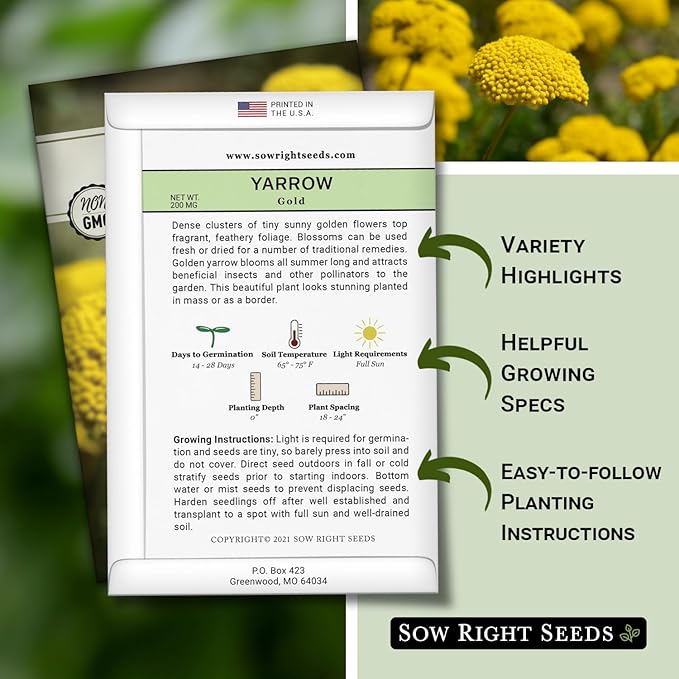 Sow Right Seeds - Achillea Yarrow Gold Flower Seeds for Planting - Flowers to Plant in Your Garden - Non-GMO Heirloom Packet with Instructions - Favorite Perennial to Attract Pollinators (2)