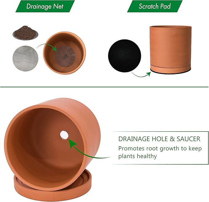 D'vine Dev Small 5 Inch Terracotta Plant Pot with Drainage Hole and Saucer, Round Cylinder Planter Pot for Indoor Plants, Set of 2, 40-X-B-2