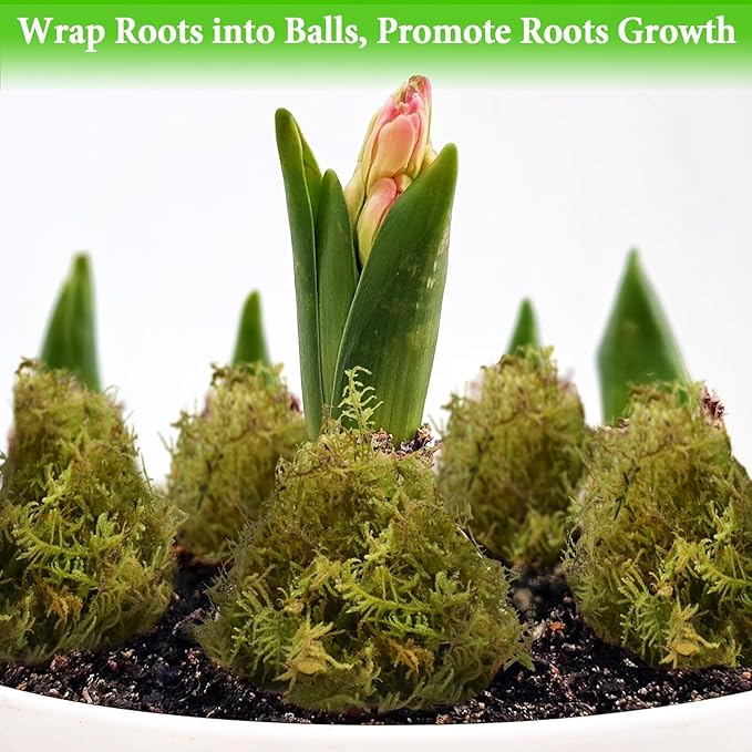 Halatool 0.75LB Green Forest Moss for Plant Indoor- 18QT Natural Orchid Moss Sphagnum for Potting Mix, Real Dry Moss for Repotting Potted Plants Orchids Succulent Carnivorous Cactus Pothos