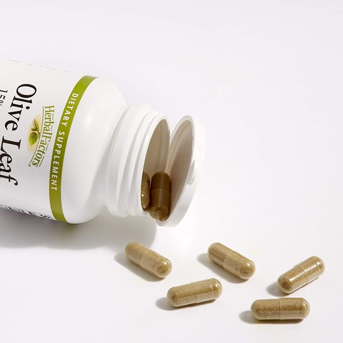 HerbalFactors by Natural Factors, Olive Leaf 500 mg, 90 Capsules