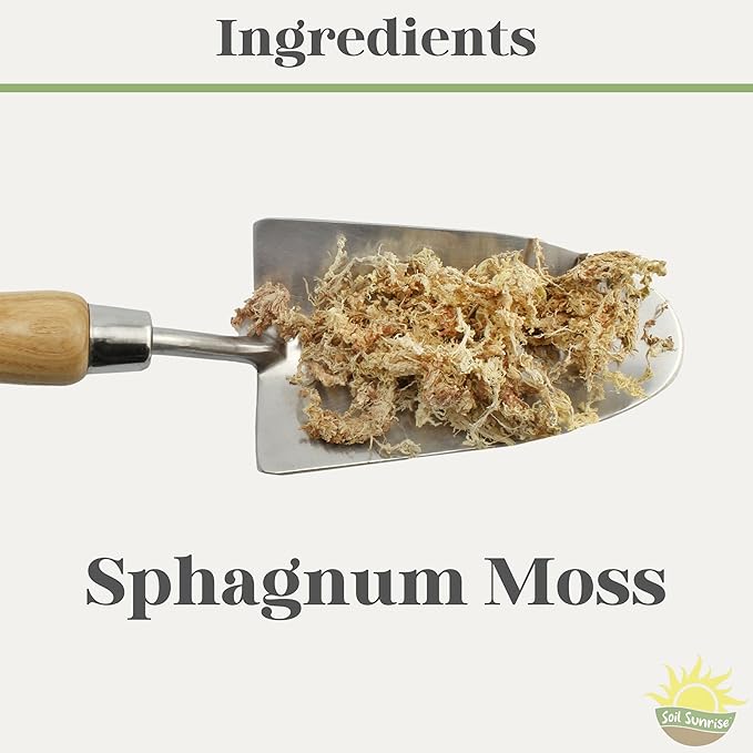 Long Fibered Sphagnum Peat Moss (4 Quarts), All Natural Dried Moss for Orchids, Carnivorous Plants, Decorating, Terrariums