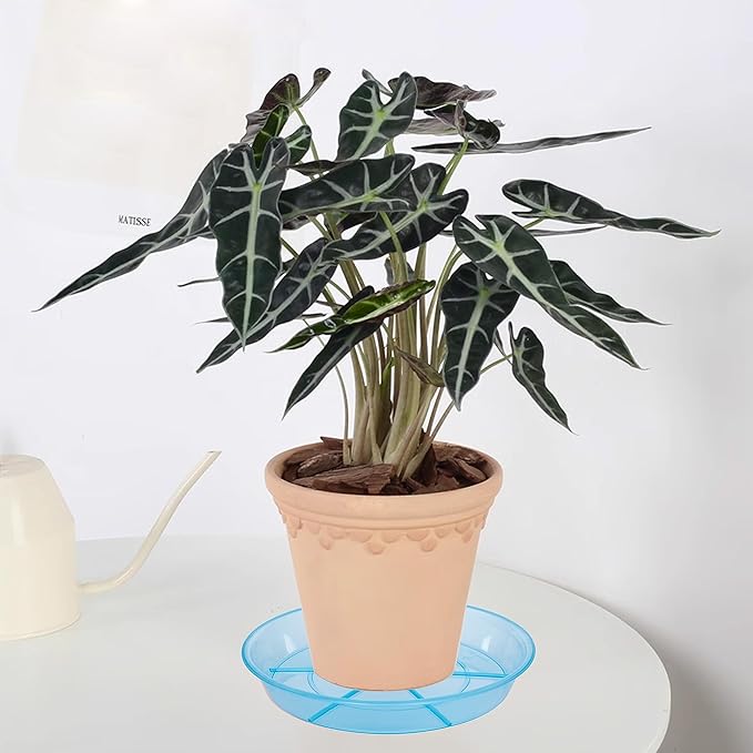 6 Pack Plant Saucer Drip Tray, 4 5 6 8 9 10 12 14 16 18 inch, Heavy Sturdy Plastic Planter Flower Pot Saucers for Indoor Outdoor Garden, Plant Water Drip Trays for pots Base (4", Blue)