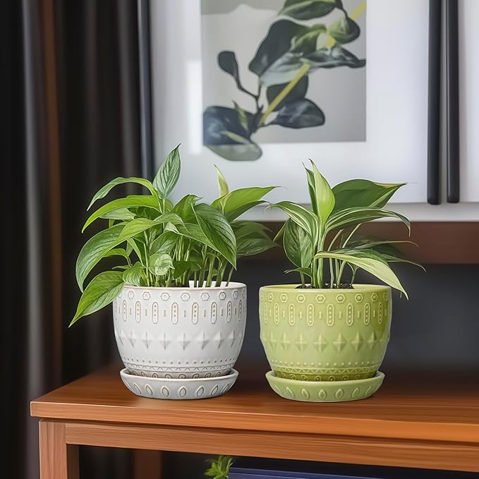 G EPGardening Ceramic Planter 5.5 Inch - Boho Plant Pot Indoor with Drainage Hole and Saucer, Round Flower Succulent Pot for Plants, Plant Lovers Gifts, Garden Office House Decor, Green