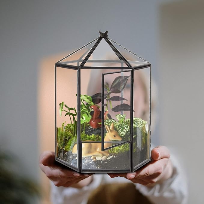 Glass Geometric Plant Terrarium,Succulent & Air Planter for Home Garden Office Decoration,No Plants(Black Hexagonal)