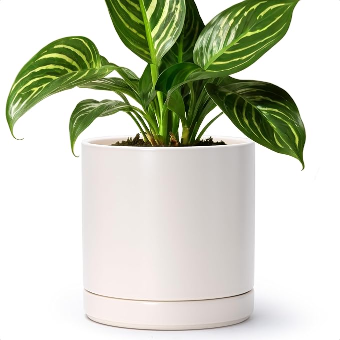 D'vine Dev 8 Inch Ceramic Planter Pot with Drainage Hole and Saucer, Indoor Cylinder Round Planter Pot, Oatmeal, 94-O-D-8