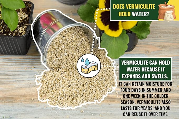 Horticultural Organic Vermiculite - Medium Grade - Natural Soil Additive for Potted Plants - Orchids - Hydroponics - Terrariums (5 Quart)