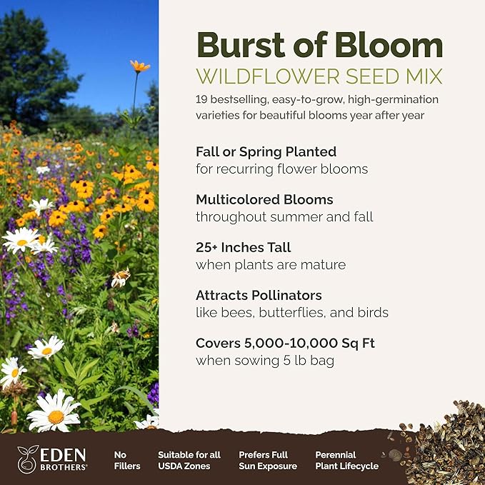 Eden Brothers Burst of Bloom Wildflower Mixed Seeds for Planting, 5 lb, 2,400,000+ Seeds with Cosmos, Black Eyed Susan | Attracts Pollinators, Plant in Spring or Fall, Zones 3, 4, 5, 6, 7, 8, 9, 10