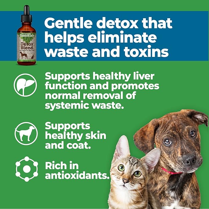 Animal Essentials Detox Blend - Liver Support for Dogs & Cats, Liver Supplement, Herbal Formula, Human Grade Herbs, Animal Wellness Tonics - 2 Fl Oz