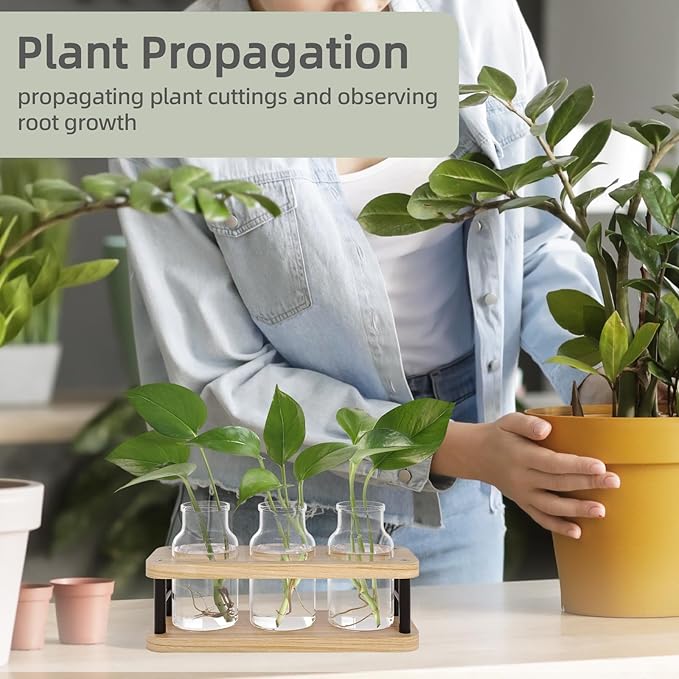 THYGIFTREE Plant Propagation Station with Wooden Stand, Propagation Vases Glass Planters for Indoor Plants Hydroponic Propagating Jars Home Office Decor, Plant Lover Gifts