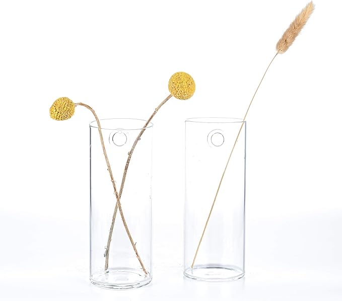Kingbuy Wall Planter Terrarium Plant Propagation Station Glass Wall Vase for Home Kitchen Windowsill Decor, Plant Lover Gifts, Clear Medium Cylinder, 4 Pack