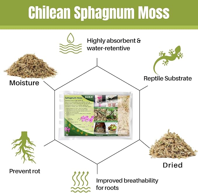 Sukh 4oz Sphagnum Moss for Plants - Sphagnum Peat Moss Natural Dried Long Fibered for Orchids Succulent Carnivorous Potted Plant Reptiles Medium Sarracenia DIY Terrarium Decorations