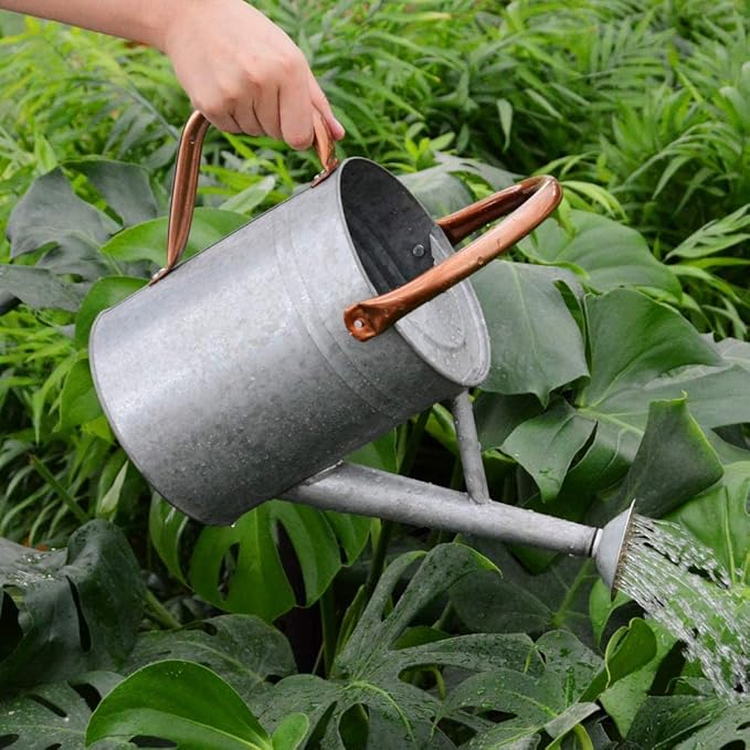 Metal Watering Can, One Gallon Watering Cans Stainless Steel for Outdoor Indoor Garden Plants Watering (Zinc 1 Gallon)