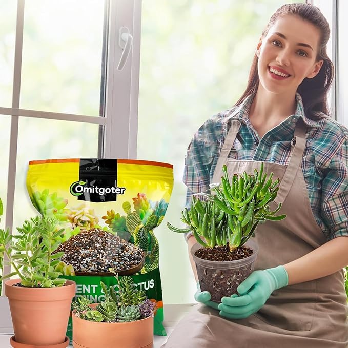 Succulent & Cactus Soil Potting Mix 1qt, Pre-Mixed Ready to Use with Fast Draining Fits for Bonsai, Terrarium and Houseplant