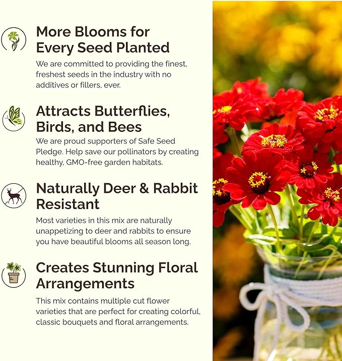 Eden Brothers Fiery Flower Mixed Seeds for Planting, 1/4 lb, 120,000+ Seeds with Zinnia Scarlet Flame, Plains Coreopsis | Attracts Pollinators, Plant in Spring or Fall, Zones 3, 4, 5, 6, 7, 8, 9, 10