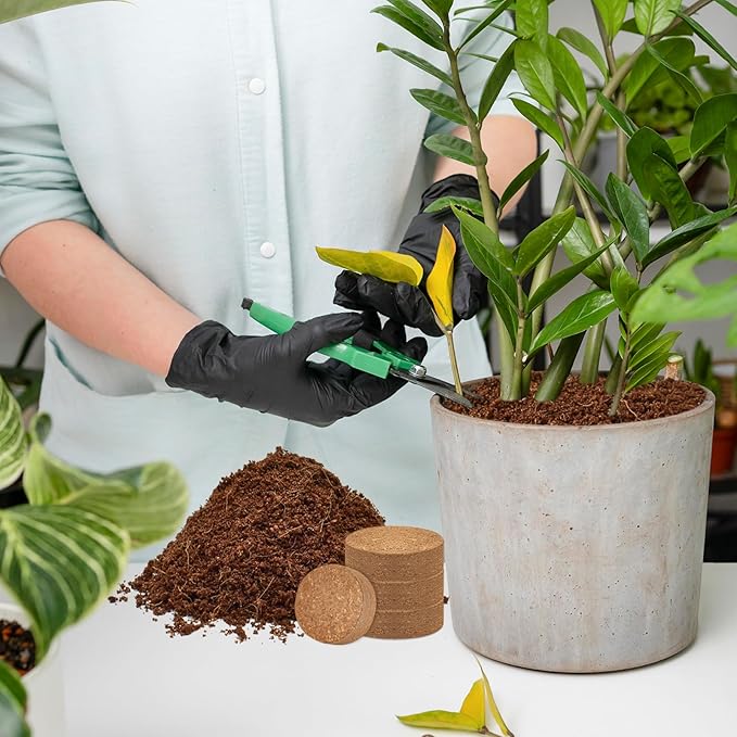 ZeeDix 100 Pcs 40mm Organic Coco Coir Pellets, Compressed Coconut Coir Seed Starter Soil Expanding Soil Discs Potting Soil Dirt Pellets for Planting Bonsai, Herbs, Plants, Flowers and Vegetables
