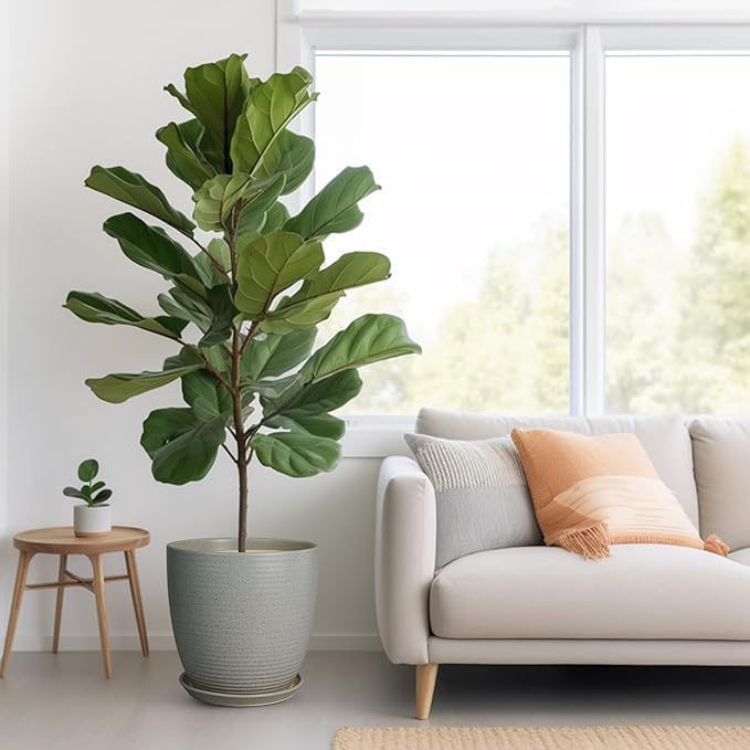 12 Inch Plant Pot, Ceramic Planter Pot with Drainage Hole and Saucer Round Large Flower Pot for Indoor Plants, Light Gray