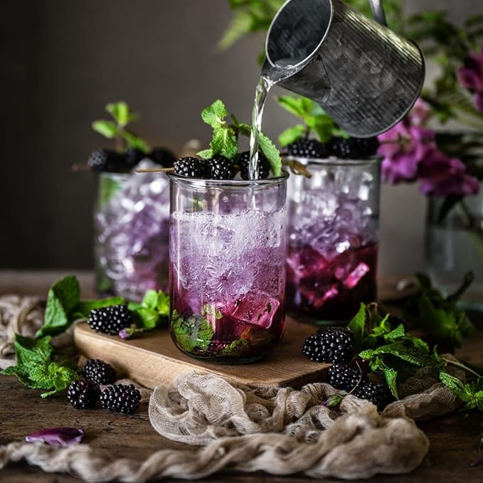ECO-TASTE Elderberry Juice Powder, Supports Healthy 170g
