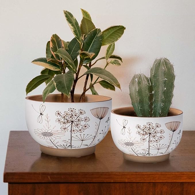 YBX 8 Inch + 6 Inch White&Terracotta Flower Pots, Succulent Ceramic Plant Pots with Drainage Holes, Terracotta Planters for Indoor Plants (Garden)