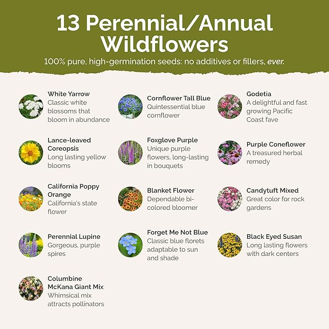 Eden Brothers Alaska Wildflower Mixed Seeds for Planting, 1 lb, 480,000+ Seeds with Yarrow, Foxglove, Cornflower | Attracts Pollinators, Plant in Spring or Fall, Zones