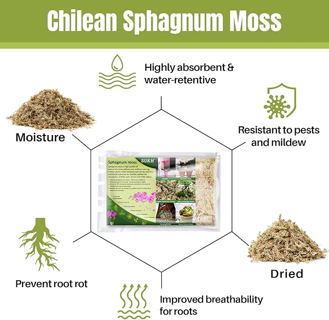 Sukh 6oz Sphagnum Moss for Plants - Sphagnum Peat Moss Natural Long Fibered Dried Moss Potting for Orchids Succulent Carnivorous Potted Plant Reptiles Medium Sarracenia DIY Moss Terrarium Decorations