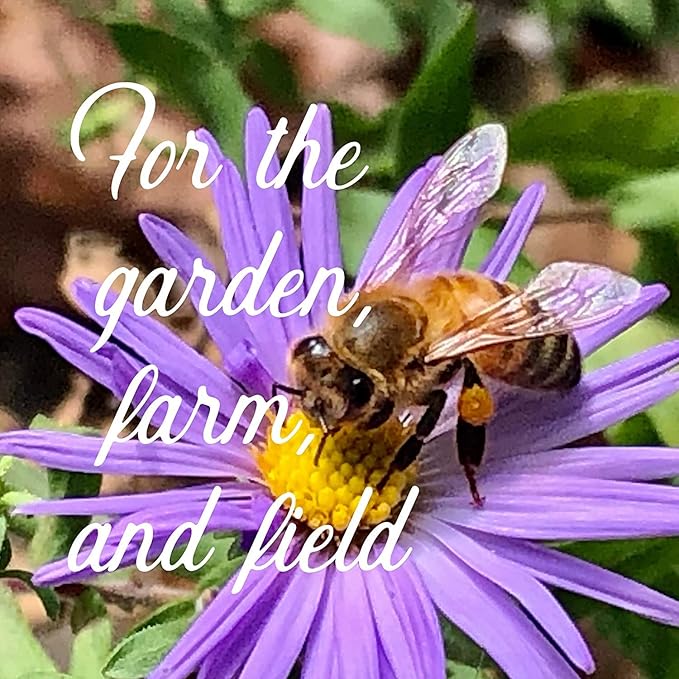 Wildflower Seeds Bulk, 3 Oz. 80,000+ Seeds, Partial Shade Flower Seeds, 19 Non-GMO Varieties of Flower Seeds for Shade - Wild Flowers Seeds Mix, Shade Tolerant Wildflowers for Partial Shade