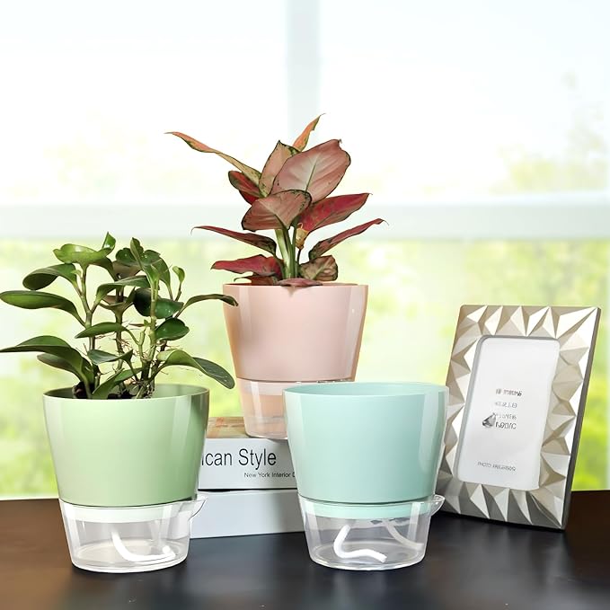 Hayder Plant Pots 6 inch Set of 6, Self Watering Flower Pots Indoor Outdoor, Self Watering Planters with Drainage Hole & Clear Saucer Reservoir