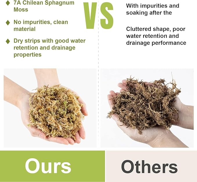 Sukh 6oz Sphagnum Moss for Plants - Sphagnum Peat Moss Natural Long Fibered Dried Moss Potting for Orchids Succulent Carnivorous Potted Plant Reptiles Medium Sarracenia DIY Moss Terrarium Decorations