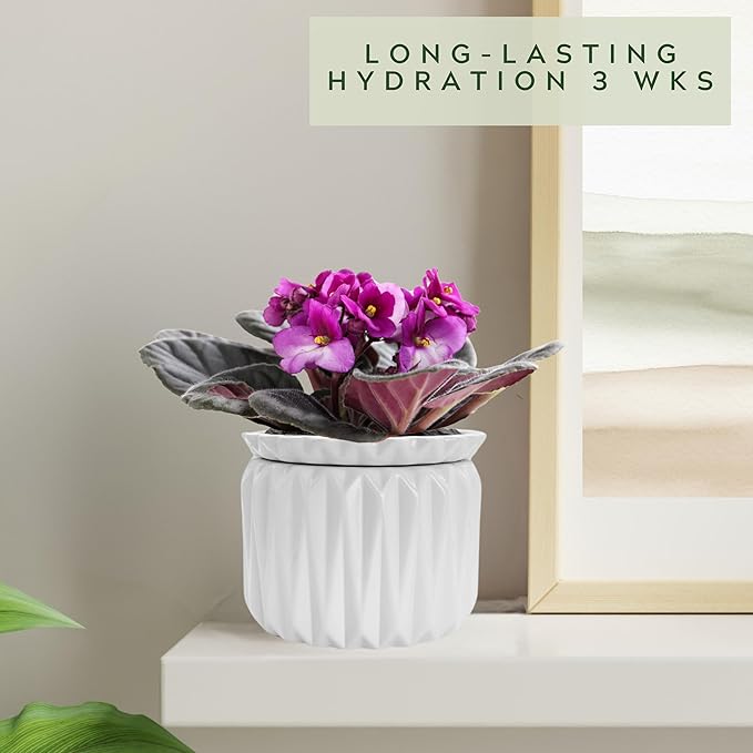 6 inch Self Watering Pot for Indoor Plants, African Violet Pot Ceramic, Flowers Planter (4 inch Opening), Holds 3 Weeks of Water (2 Pack White)