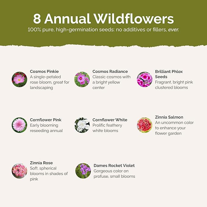 Eden Brothers Tickled Pink Flower Mixed Seeds for Planting, 1/4 lb, 120,000+ Seeds with Cosmos, Cornflower, Zinnia | Attracts Pollinators, Plant in Spring or Fall, Zones 3, 4, 5, 6, 7, 8, 9, 10