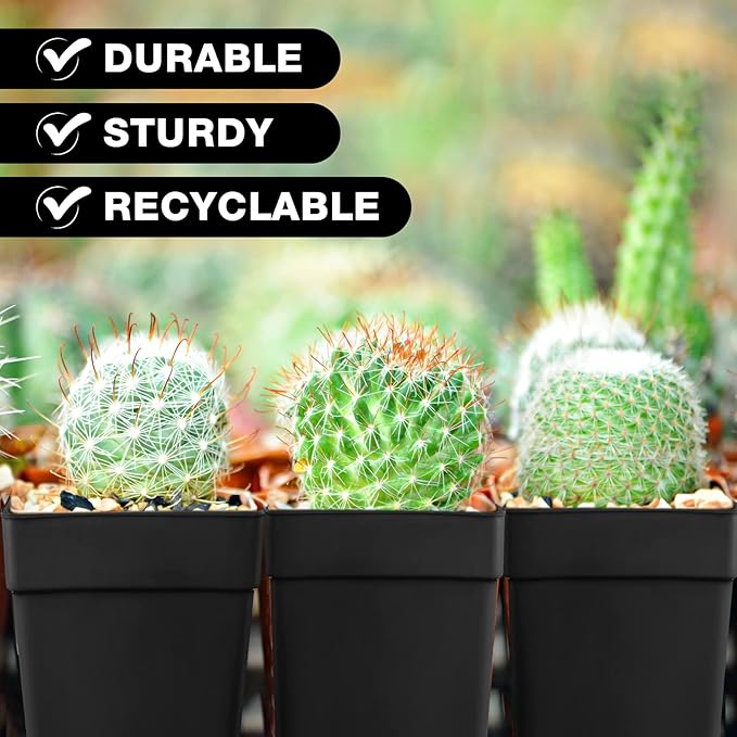 100 Pieces 4 Inch Flower Pots Square Plants Nursery Pot Plastic Plant Seedling Pots Nursery Transplanting Planter Container with Saucer for Indoor Herbs Succulents Balcony Garden Office (Black)
