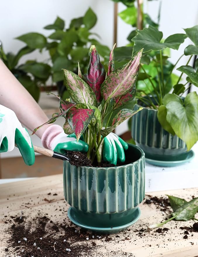 AISBUGUR Plant Pots 6 inch Ceramic Pots for Indoor Plants Set of 2 Flower Pots Unique Crackle Glaze Design Plant Pots with Drainage Hole and Saucer Come with Drainage Nets (Aqua Green)