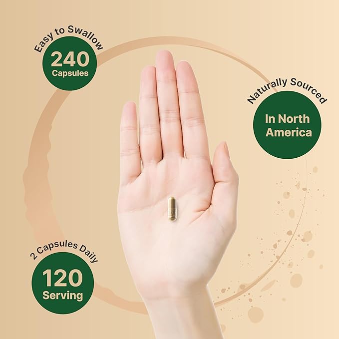 NatureBell St Johns Wort 9,000mg Per 240 Capsules 15:1 Herbal