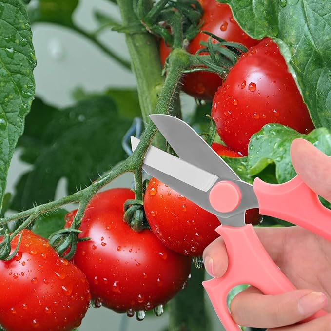 Flower Scissors, Strong Floral Shears, Premium Steel Garden Pruning Shears Floral Fruits Leaf Scissors Hand Pruner Snip Trimming Tool for Gardening Flower Arrangement, Pink
