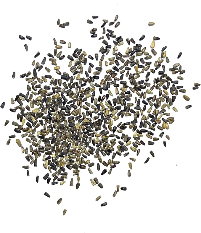 Seed Needs Garnet Stem Dandelion Seeds for Planting - Non-GMO, Heirloom & Untreated Edible Herbs - Organically Grow Your own Food for Tortoises, Rabbits & Bearded Dragons (5 Packs)