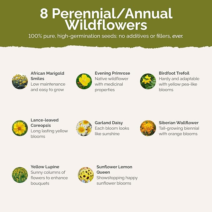 Eden Brothers Ole Yeller Wildflower Mixed Seeds for Planting, 1/4 lb, 120,000+ Seeds with African Marigold, Sunflower | Attracts Pollinators, Plant in Spring or Fall, Zones 3, 4, 5, 6, 7, 8, 9, 10
