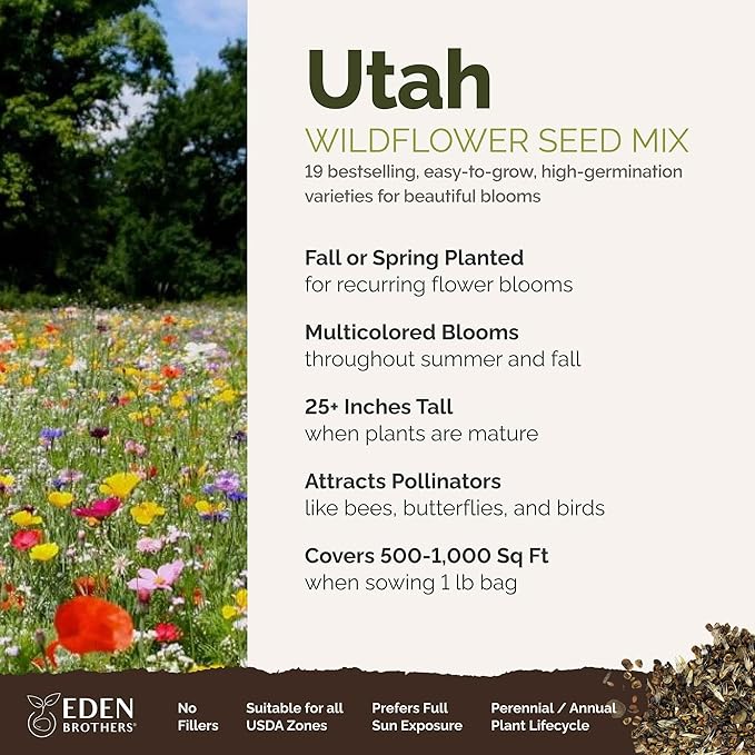 Eden Brothers Utah Wildflower Mixed Seeds for Planting, 1 lb, 480,000+ Seeds with Snapdragon, Yarrow | Attracts Pollinators, Plant in Spring or Fall, Zones