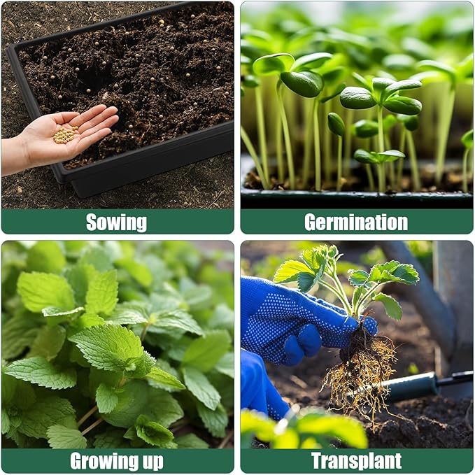 Seed Starter Kit - 10 Pack 1020 Seed Trays with 2 Seedling Heat Mats for Plants (10"x20.5"), Complete Seed Germination Kit for Indoor Gardening, Greenhouse Accessories