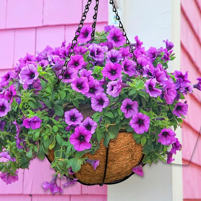 ZeeDix 6 Pack 10 Inch Metal Round Hanging Planter Basket with Coconut Liners Replacement, Hanging planters Baskets with Natural Coco Liner for Outdoor Indoor Planters Flowers Vegetables