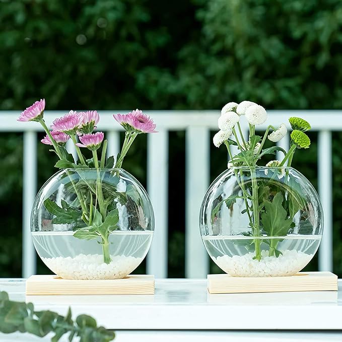 Kingbuy Desktop Round Glass Planter Terrarium Flower Vase with Wooden Stand for Propagation Hydroponic Water Plants Home Office Decor, 2 Pack, Beige
