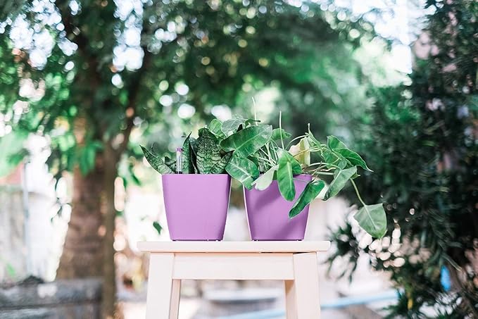 5" Self Watering pots for Indoor Plants - Flower Pot with Water Level Indicator for Plants, Grow Tracking Tool - Self Watering Planter Plant Pot – 2 Pack Purple