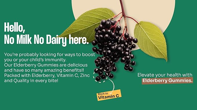 Organic Kids Elderberry Gummies with Zinc 60 Vegan