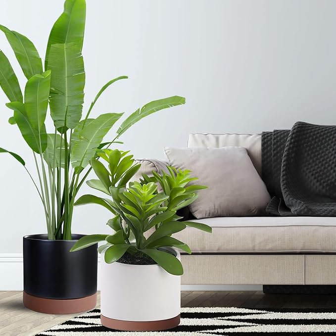 Ceramic Plant Saucer Pot Tray 12 Inch, Planter Saucers 4 5 6 7 8 9 10 11 12 13 Inch for Indoors Outdoor, Durable Sturdy Flower Drainage drip Water Tray for Glazed Pots Base (12.7 Inch-Brown)