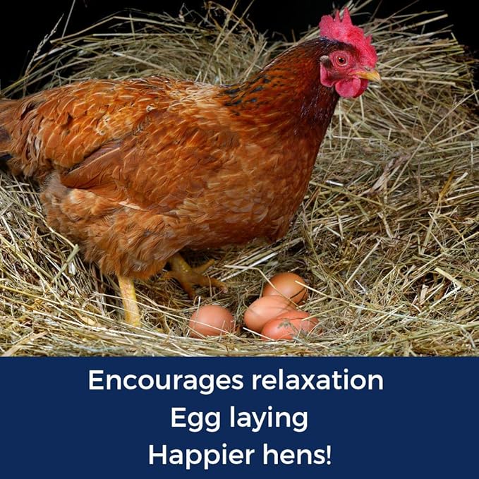 Pampered Chicken Mama Best Eggs Ever! Nesting Herbs for Chickens (4 Pounds) Calcium Supplement for Chickens | Chicken Feed Supplies, Hen Treats for Coops