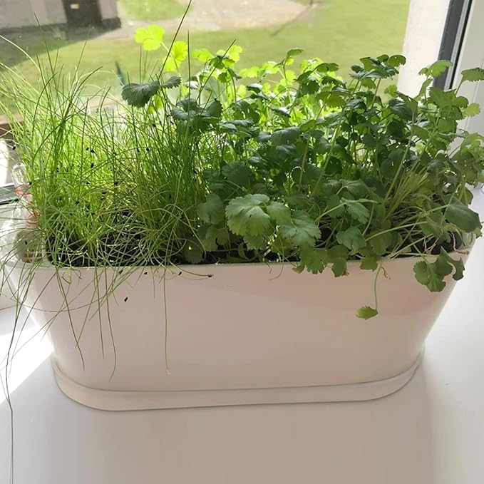 Window Box Planter with Saucers, 10 Sets Rectangular Planter with Multiple Drainage Holes and Trays Plant Pots, Outdoor Planter Or Indoor Planter for Succulent Cactus Flowers Vegetable