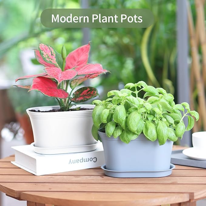 Windowsill Garden Pots, White Plastic Flower Pots with Drainage Tray for Herb, Succulents, African Violet (Pack of 6)