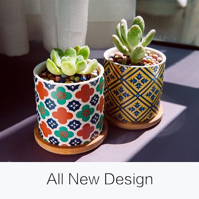 6 Pack Succulent Pots with Drainage Hole, 3 inch Ceramic Succulent Planter with Bamboo Tray, Bright Color Succulent Plant Pots for Cacti Succulent Soil Potting Mix Indoor/Outdoor